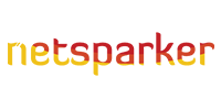 netsparker_site