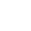 icontechnical_white icontechnical_white